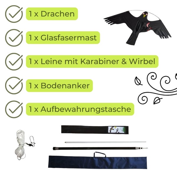 Drachen-Set bestehend aus Drachen, Glasfasermast, Leine mit Karabiner und Wirbel, Bodenanker und Aufbewahrungstasche