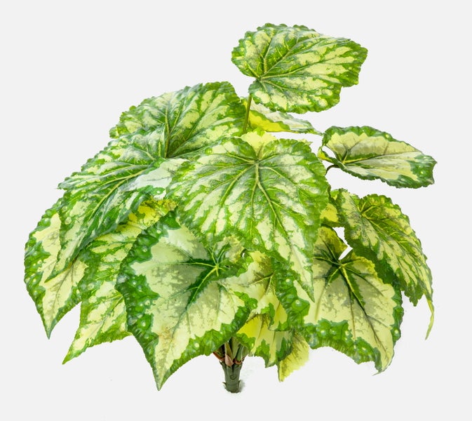 Detailansicht eines künstlichen Begonienblatts mit zweifarbigem Muster und grünem Stielansatz.