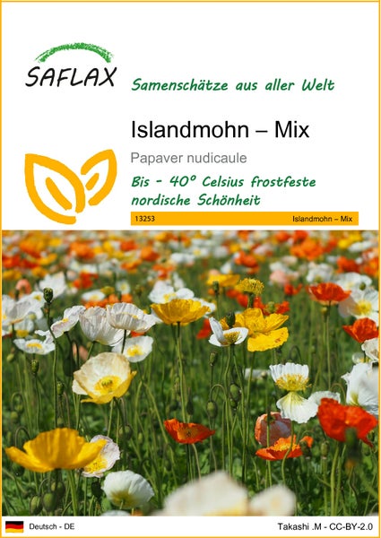 SAFLAX  - Islandmohn – Mix - Papaver nudicaule - 8000 Samen