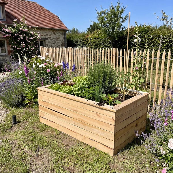 Rechteckiges Hochbeet aus Holz im Garten bepflanzt mit Salat und Kräutern vor einem Staketenzaun und einem Wohnhaus.