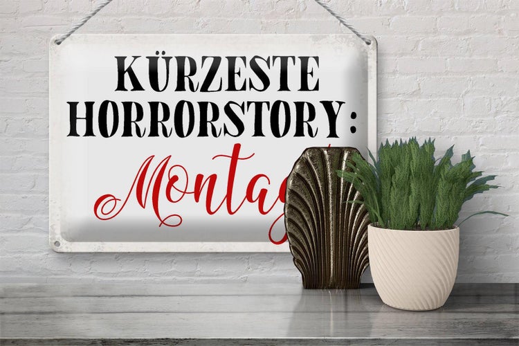 Blechschild Spruch 30x20cm kürzeste Horrorstory Montag
