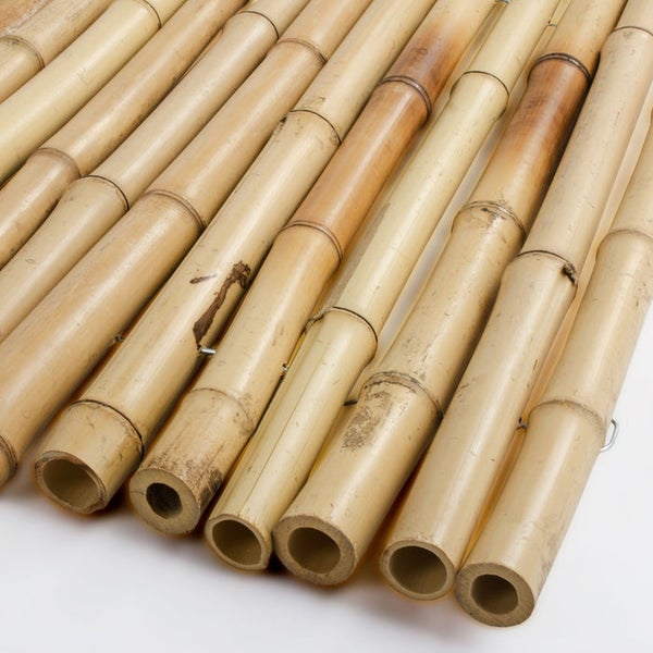 FLOORDIREKT Bambus-Sichtschutzzaun - Vollrohr - Sichtschutz für Balkon und Garten - Natur - 100 x 250 cm