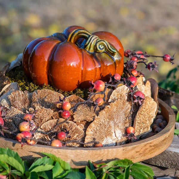 Herbstliche Tischdekoration mit Keramik-Kürbis, Beeren und Naturmaterialien in einer Holzschale.