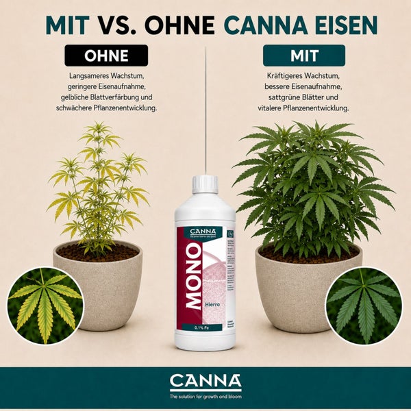 Vergleichsgrafik CANNA Mono Eisen Dünger mit zwei Pflanzen im Topf zur Darstellung der Wirkung auf Pflanzenwachstum und Blattfarbe.