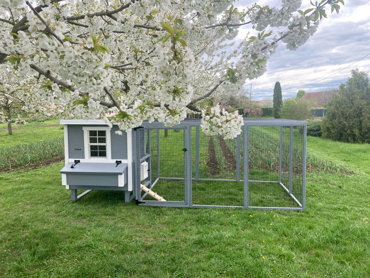 Hühnerstall Mitte EZ Chicken Home  1,68m²  127 x 133 x 158 cm Grau hergestellt in EU