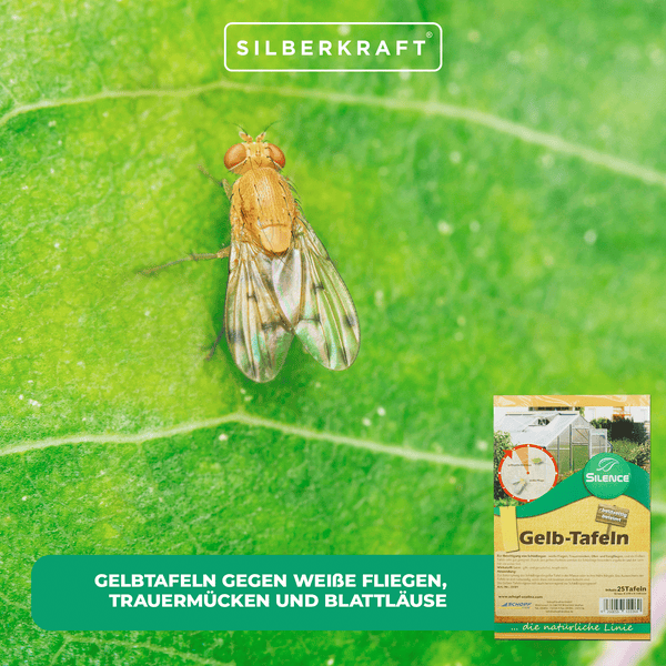 Silence Gelbtafeln (groß) – Effektive Schädlingskontrolle für Innenräume, Gewächshaus & Garten – Gegen Trauermücken, Weiße Fliegen & Blattläuse – Ohne Insektizide