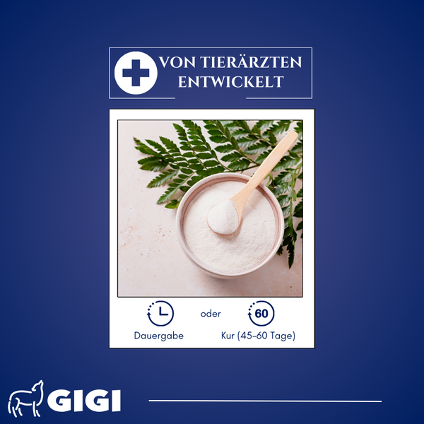 Gigi Produktbild: Pulver in Schale mit Löffel, entwickelt von Tierärzten