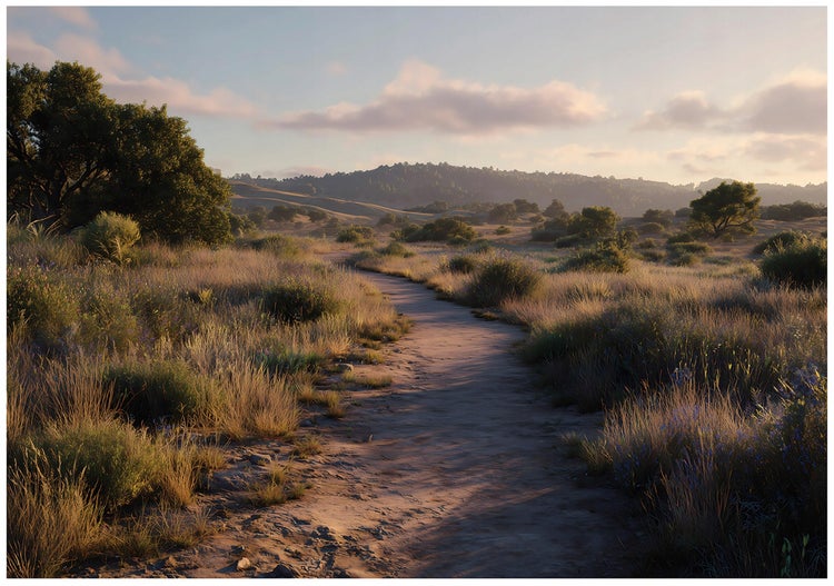 Landschaft mit Feldweg, Büschen und Bäumen