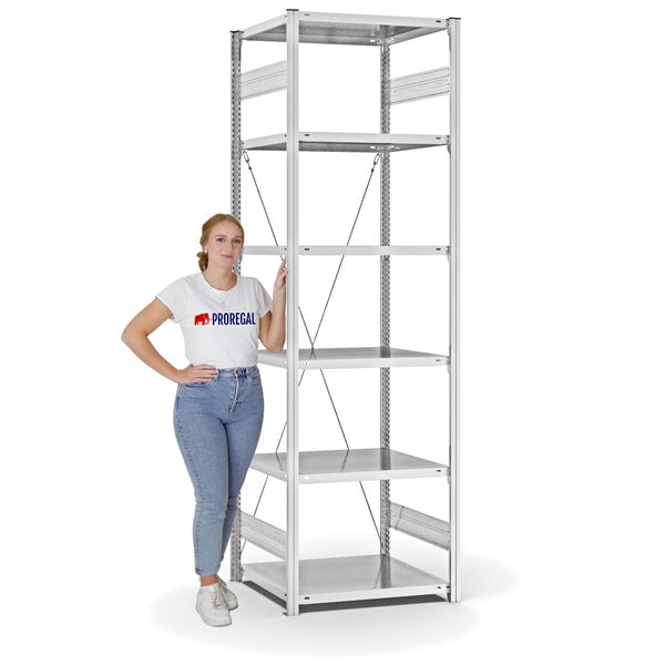PROREGAL Fachbodenregal Stecksystem T-Profil Light-Duty Grundregal HxBxT 250 x 75 x 60 cm 6 Ebenen Fachlast 140 kg Einseitig Nutzbar Lichtgrau