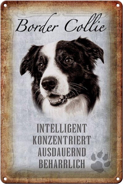 Blechschild Spruch 20x30cm Border Collie Hund Schild