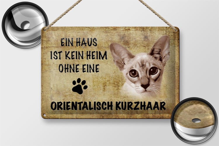 Blechschild Spruch 30x20cm orientalisch Kurzhaar ohne kein Heim