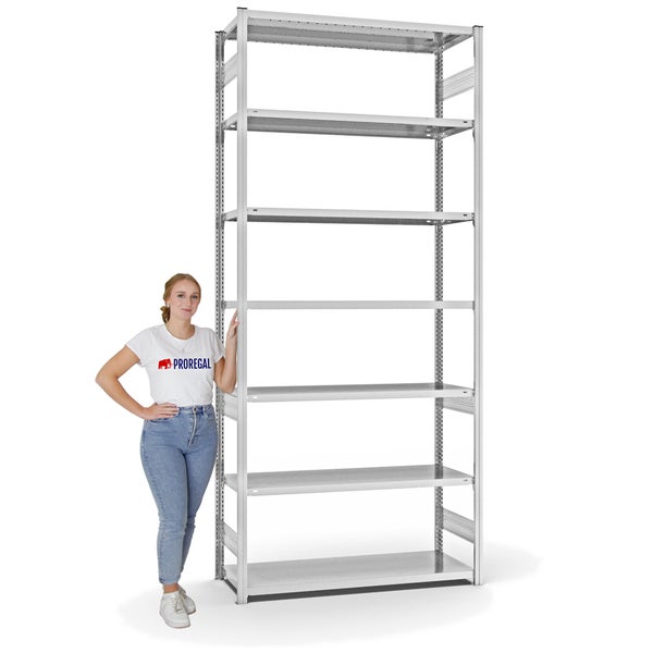 PROREGAL Fachbodenregal Stecksystem T-Profil Light-Duty Grundregal HxBxT 300 x 130 x 50 cm 7 Ebenen Fachlast 185 kg Beidseitig Nutzbar Lichtgrau