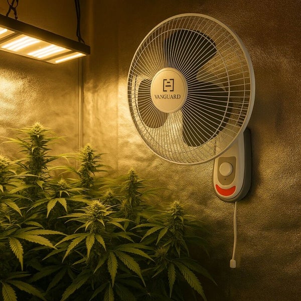 Wandmontierter Vanguard Ventilator mit Zugschalter in einem Growroom mit Pflanzen und LED-Pflanzenlampe.