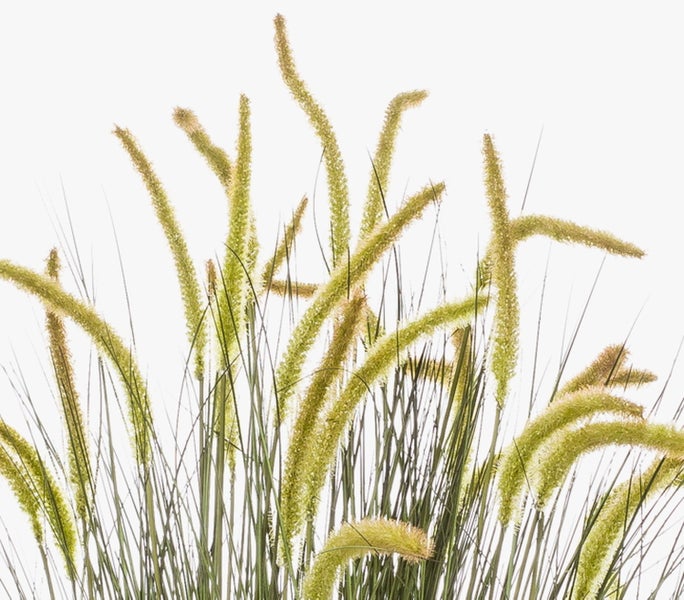 Künstliche Graspflanze aus Kunststoff in einem schwarzen Topf.