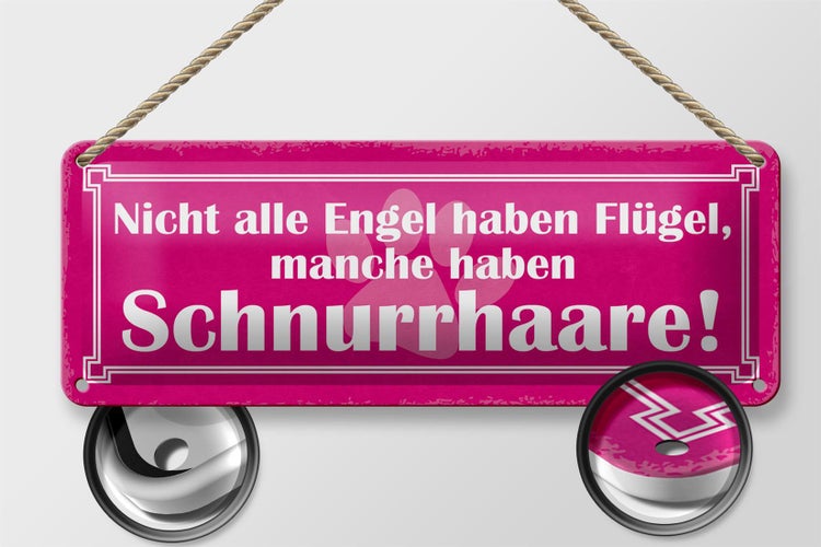 Blechschild Spruch 27x10cm Hund manche Engel Schnurrhaare Dekoration