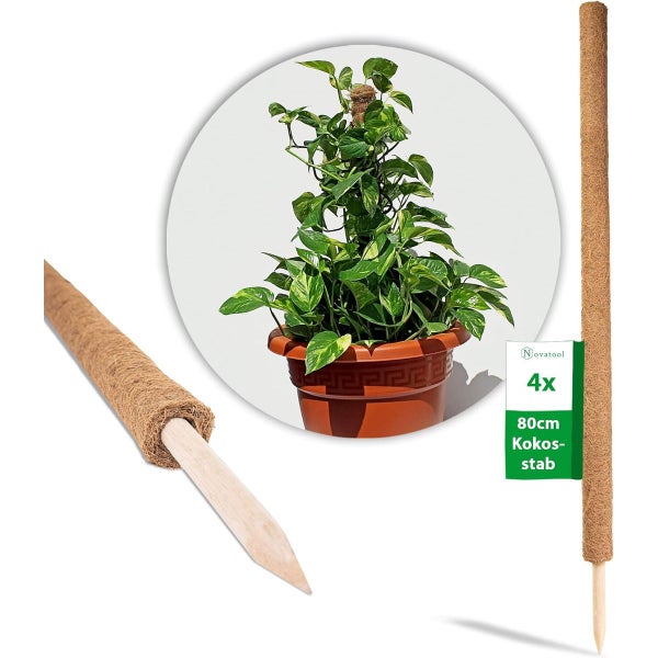 Novatool Kokos-Stab 80 Zentimeter, 4er Set, Rankhilfe aus Kokosfaser für Zimmerpflanzen, mit Holzspitze.