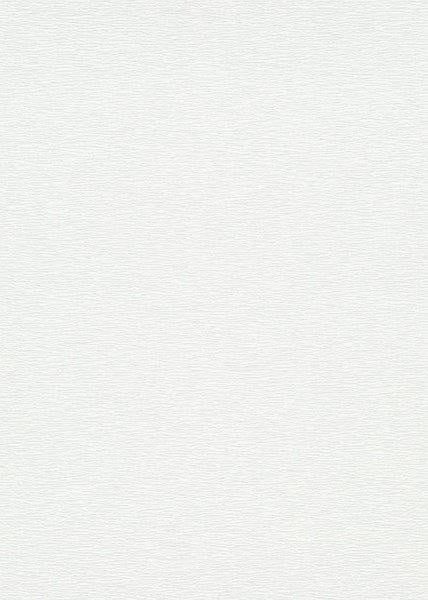 Erismann Tapete Uni Hellbeige - 53 cm x 10.05 m - 662106