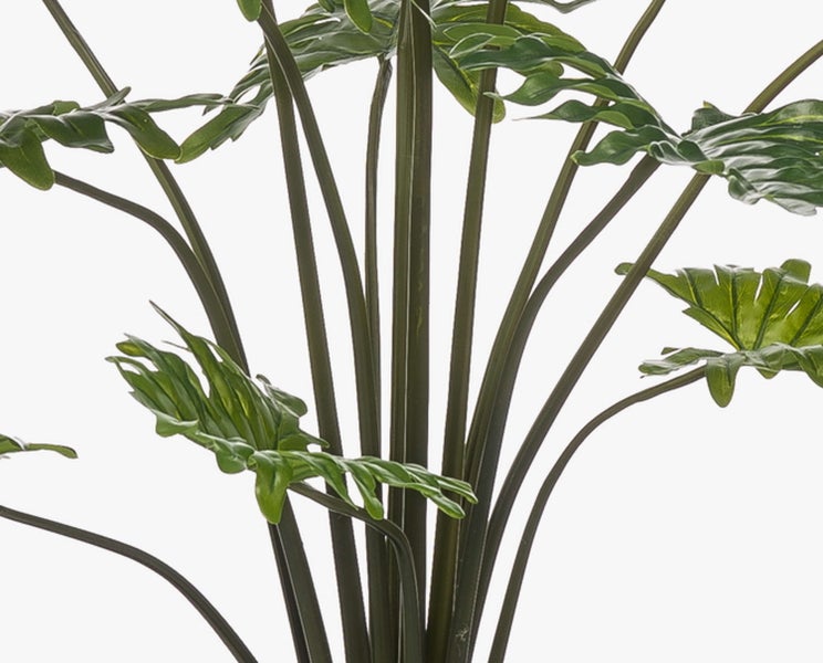 Rustikaler Blumentopf aus Terrakotta mit einer Sukkulente und Pflanzgranulat.