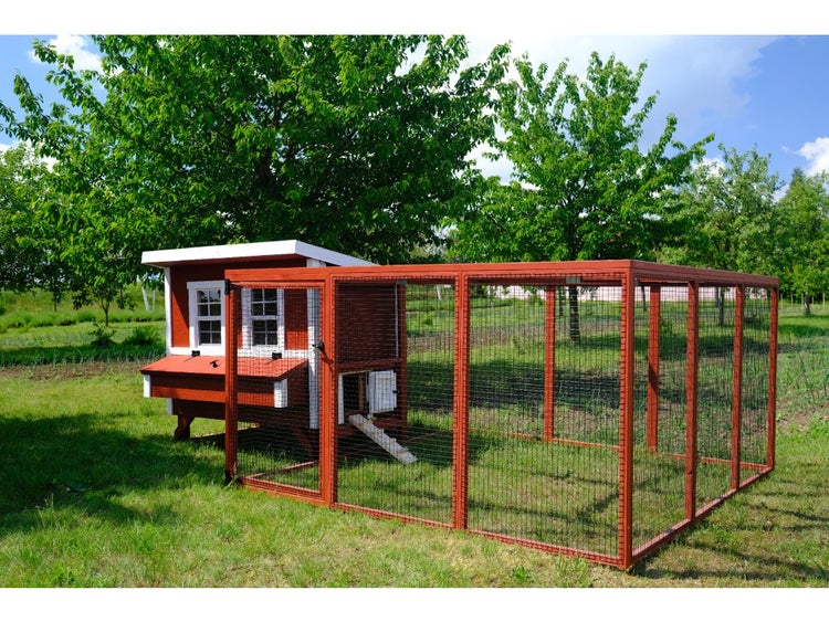 Hühnerstall aus Holz mit integriertem Freigehege aus Drahtgeflecht in einem hellen und weitläufigen Garten.
