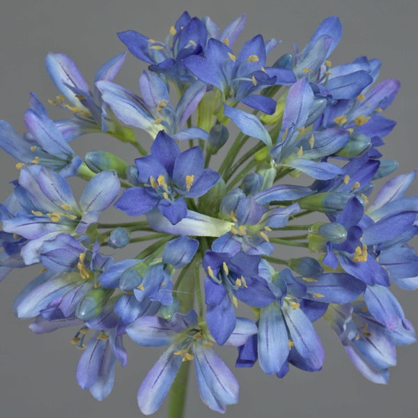Nahaufnahme einer blauen künstlichen Schmucklilie mit feinen Blütenblättern und grünen Stielen.