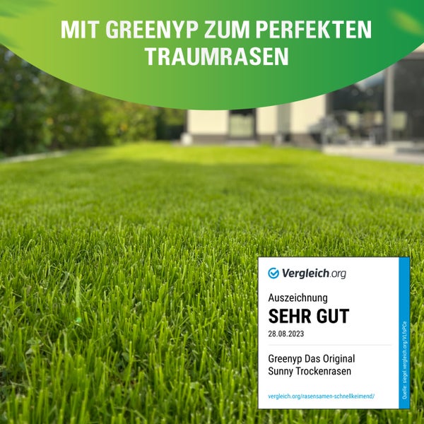 Greenyp Sunny I Dürreresistenter Trockenrasen I 5kg für 200m² I Grassamen Rasensamen Rasensaat Gras Nachsaat schnellkeimend