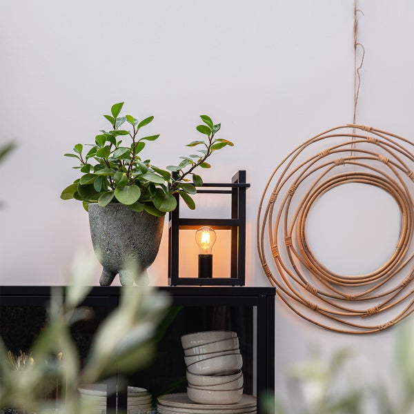 Dekorative Anordnung mit Pflanze, Lampe und Spiegel auf einem Schrank