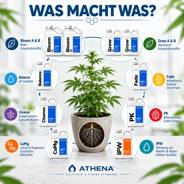 Infografik zum Athena Pflanzennährstoffsystem mit verschiedenen Düngeprodukten um eine Pflanze angeordnet.