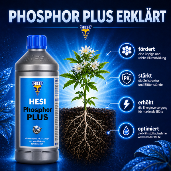 Hesi Phosphor Plus Pflanzendünger für Erde mit Erklärungen zu Anwendung und Wirkung für die Blütenphase.