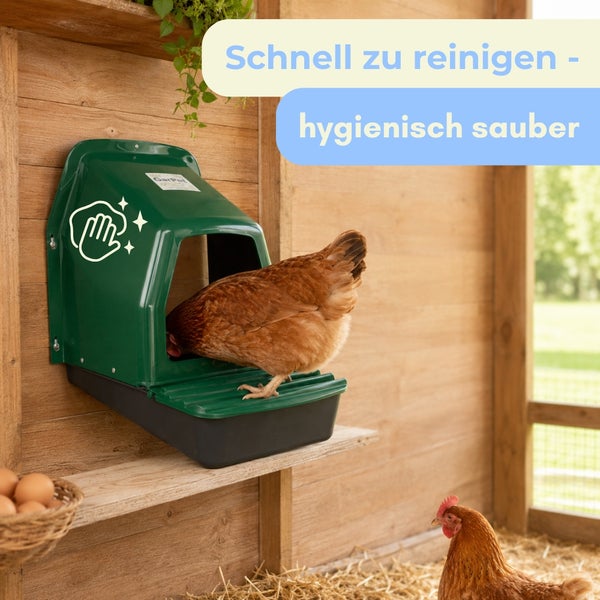 Legenest aus Kunststoff für Hühner im Holzstall, eine Henne nutzt das grüne Nest, einfach zu reinigen und hygienisch sauber.