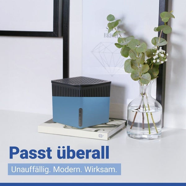 Blauer Luftentfeuchter auf einem Tisch neben einer Vase mit Pflanzen.