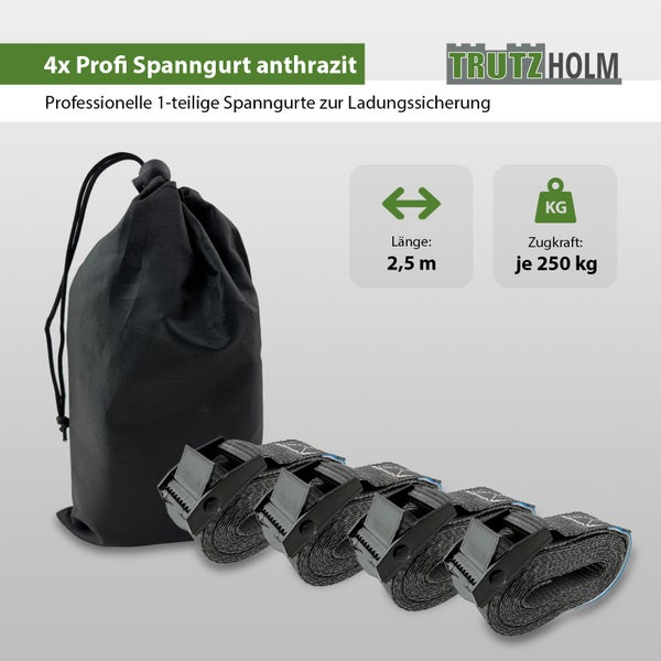 Set mit 4 Trutzholm Spanngurten mit Klemmverschluss und Aufbewahrungsbeutel, 2,5 Meter Länge, 250 Kilogramm Zugkraft zur Ladungssicherung