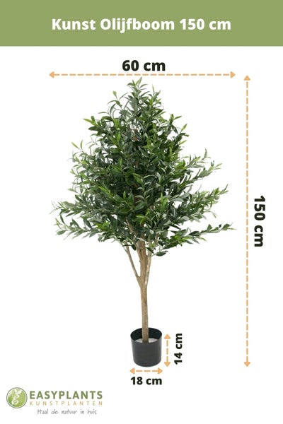 food for water plants Leafy Plant Food main image 0