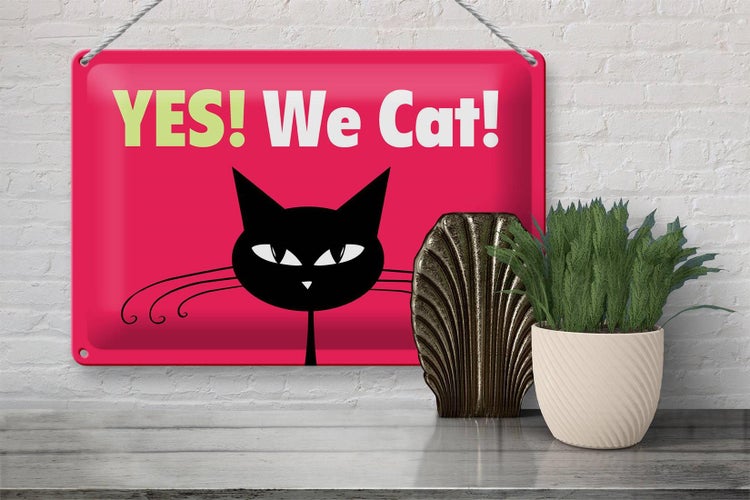 Blechschild Spruch 30x20cm Yes We cat Katze
