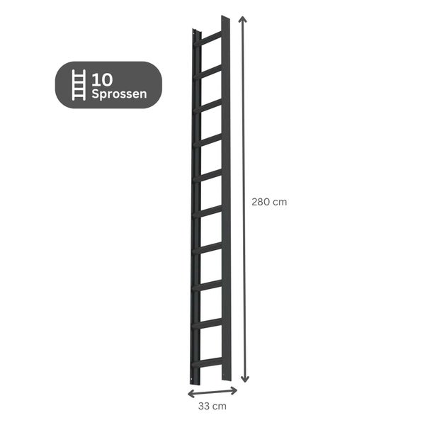 PROREGAL Dachleiter Anthrazitgrau 10 Sprossen