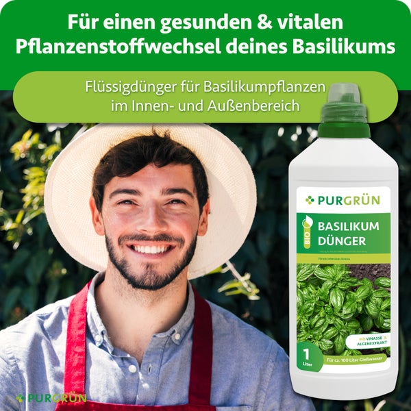Eine Flasche Purgrün Bio Basilikum Dünger, flüssig, mit Vinasse und Algenextrakt, Inhalt 1 Liter für Basilikumpflanzen im Innen- und Außenbereich.