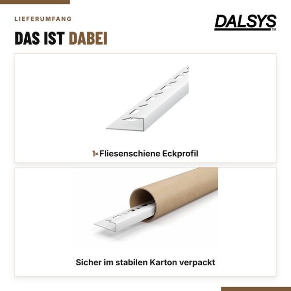Dalsys Logo und Lieferumfang einer Fliesenschiene Eckprofil verpackt in einer stabilen Papprolle.