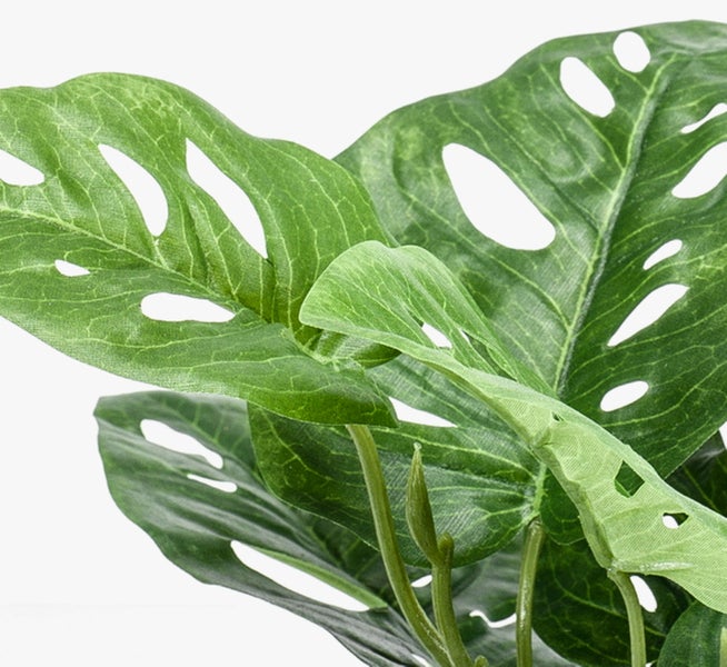 Nahaufnahme eines grünen künstlichen Monstera-Blattes mit charakteristischen Löchern und sichtbarer Blattstruktur.