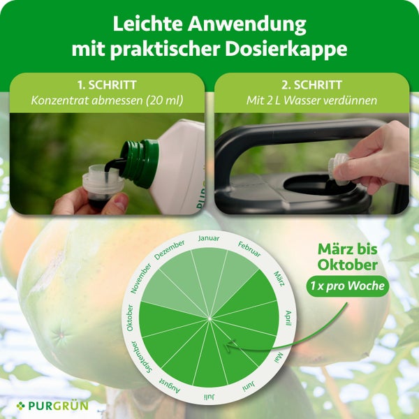 Anwendung von Purgrün Düngerkonzentrat: 20 Milliliter abmessen, mit 2 Liter Wasser mischen, Anwendung März bis Oktober. Purgrün Logo