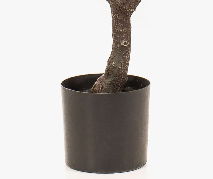 Rustikaler Pflanztopf aus Terrakotta mit Emerald Logo und grünen Blättern einer Pflanze.
