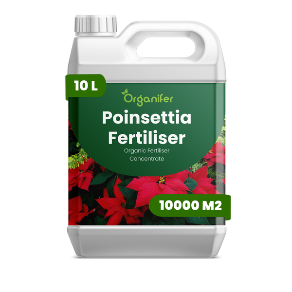 Organifer Weihnachtsstern-Dünger, organisches Konzentrat, 10 Liter Kanister für 10000 Quadratmeter.