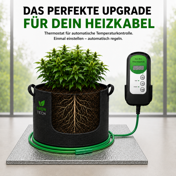 Digitaler Thermostat mit Heizkabel zur automatischen Temperaturregelung für Pflanzen in einem Grow-Topf auf einer isolierenden Unterlage.
