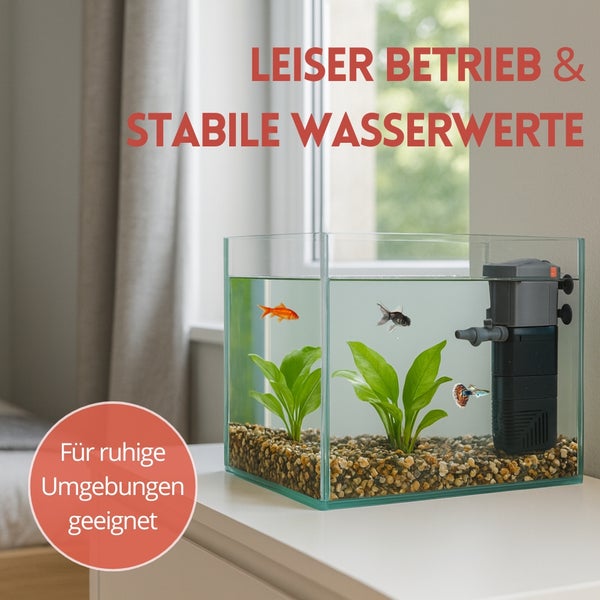 Aquarium mit Innenfilter, Fischen und Pflanzen