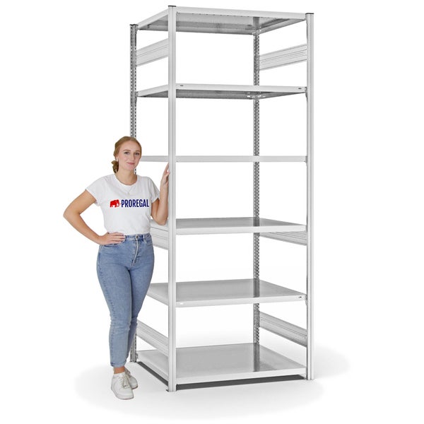 PROREGAL Fachbodenregal Stecksystem T-Profil Heavy-Duty Grundregal HxBxT 250 x 100 x 80 cm 6 Ebenen Fachlast 330 kg Beidseitig Nutzbar Lichtgrau