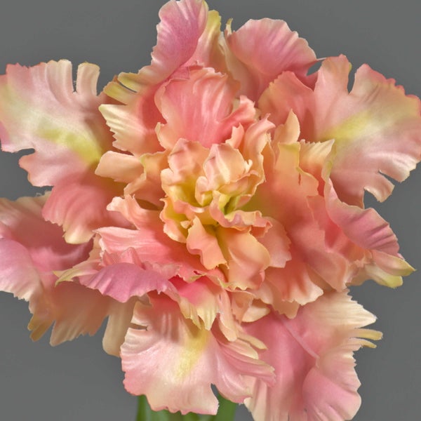 Künstliche Papageien-Tulpe mit gewellten Blütenblättern in Rosa und Gelb.