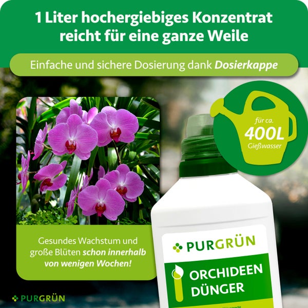 Purgrün Orchideendünger Konzentrat 1 Liter Flasche für circa 400 Liter Gießwasser mit Dosierkappe und blühenden Orchideen.