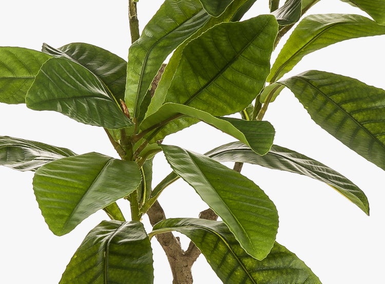 Künstlicher Buchsbaum in Kegelform, Detailaufnahme der grünen Blätter