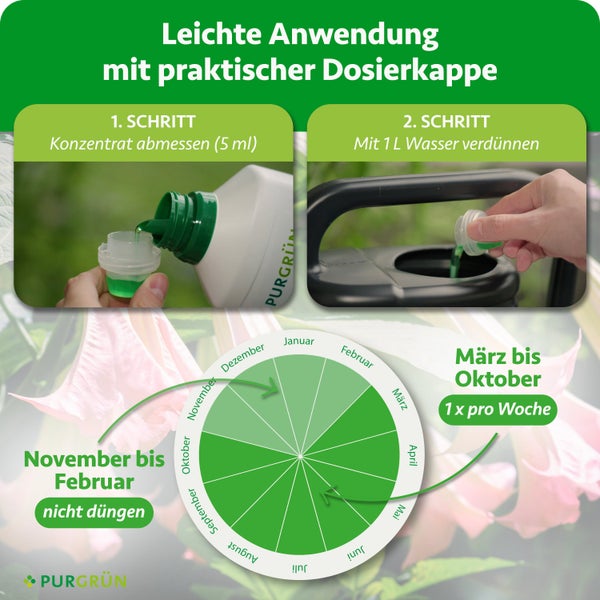Infografik zur Anwendung von Purgrün Dünger mit zwei Schritten zur Dosierung und Saisonkalender. Purgrün Logo.