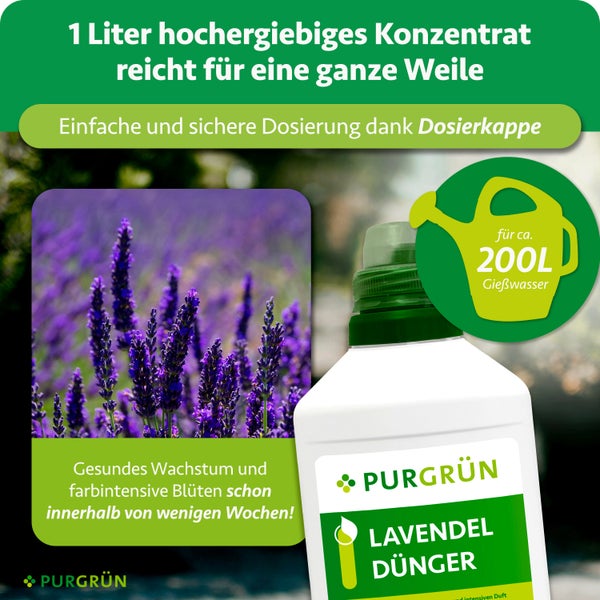 Purgrün Lavendel Dünger Konzentrat 1 Liter Flasche mit Dosierkappe, Lavendelblüten und Purgrün Logo. Ergiebigkeit für circa 200 Liter Gießwasser.