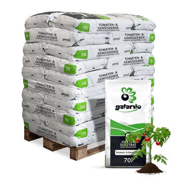 Palette mit Galamio Tomaten- und Gemüseerde, 70 Liter Säcke und eine Tomatenpflanze.