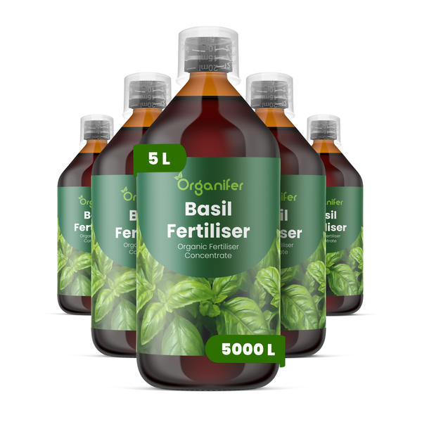 5 Flaschen Organifer Basilikumdünger Konzentrat, Organifer Logo, organischer Dünger, 5 Liter pro Flasche, ausreichend für bis zu 5000 Liter.